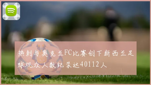 热刺与奥克兰FC比赛创下新西兰足球观众人数纪录达40112人